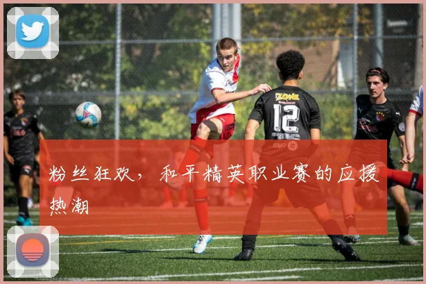 粉丝狂欢，和平精英职业赛的应援热潮
