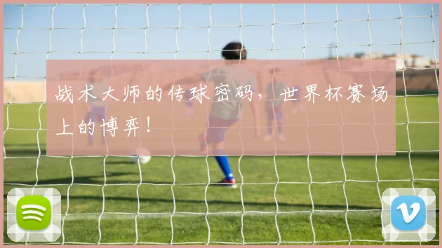 战术大师的传球密码，世界杯赛场上的博弈！